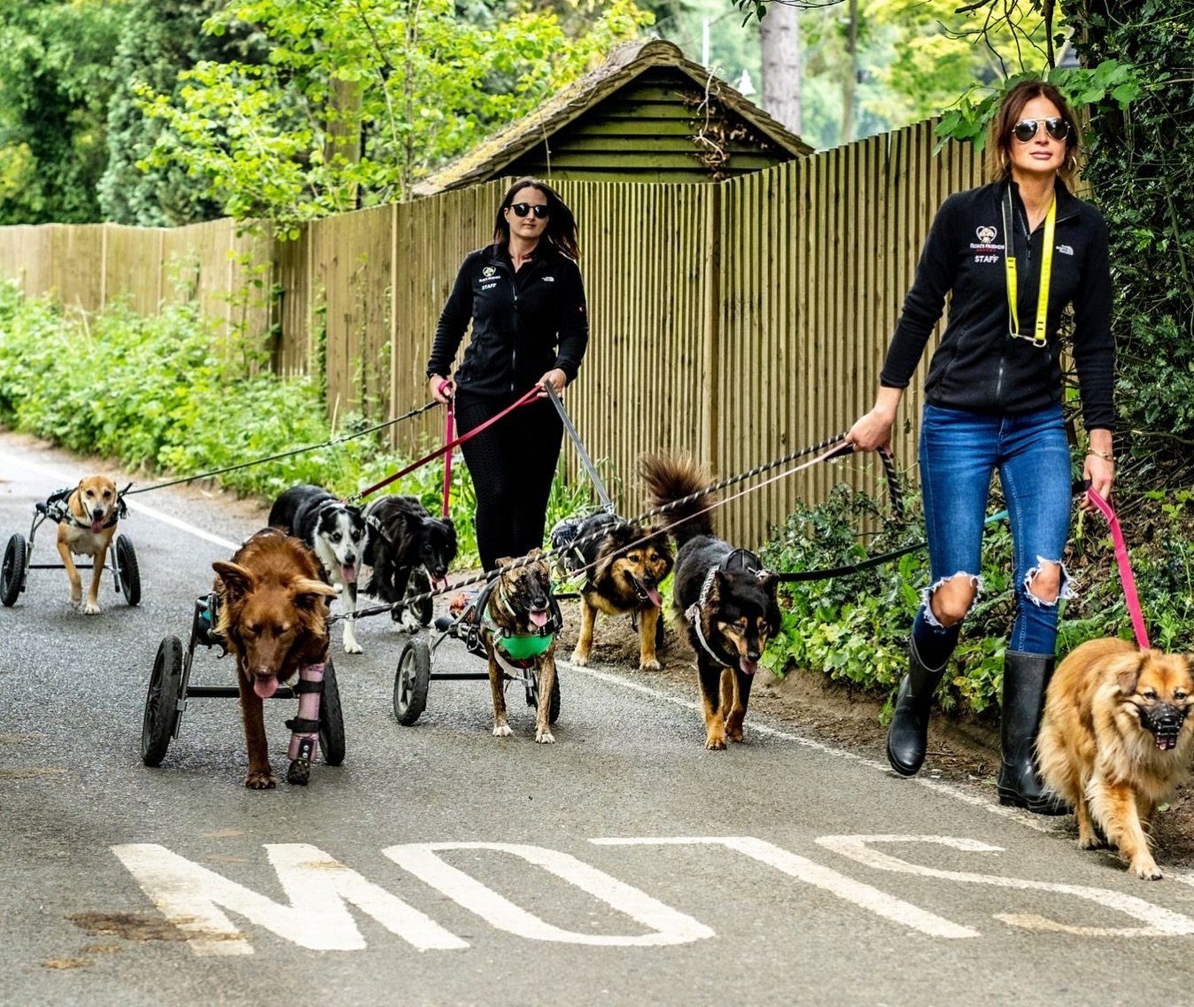 Last month our founder, The Duchess of York, heard about the plight of a local charity that was in urgent need of funds beacuse of the &lsquo;crippling number of bills&rsquo; incurred buying specialist equipment for the animals in their care. The Ken
