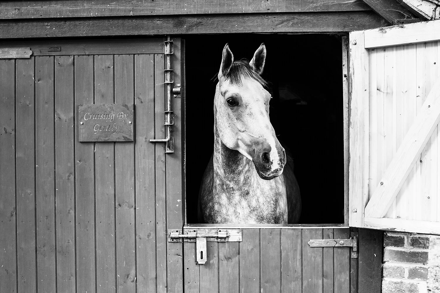 horse_in_stable.jpg