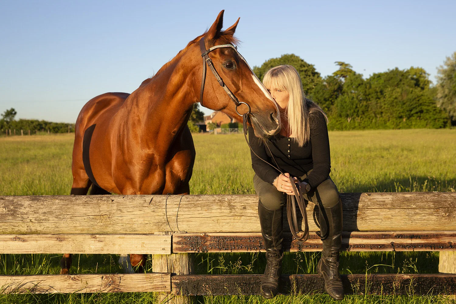 thoroughbred_and owner_fence.jpg