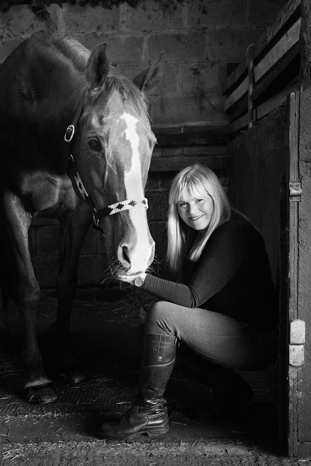 horse_in_stable.jpg