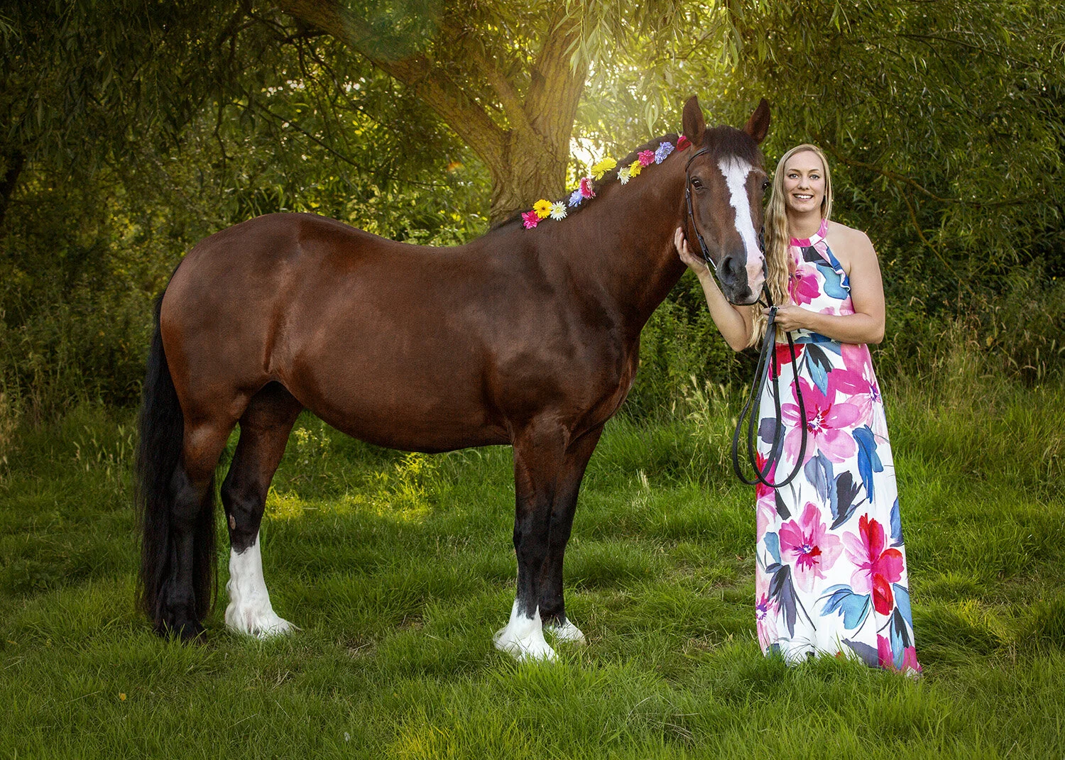 welsh_pony_flowers.jpg