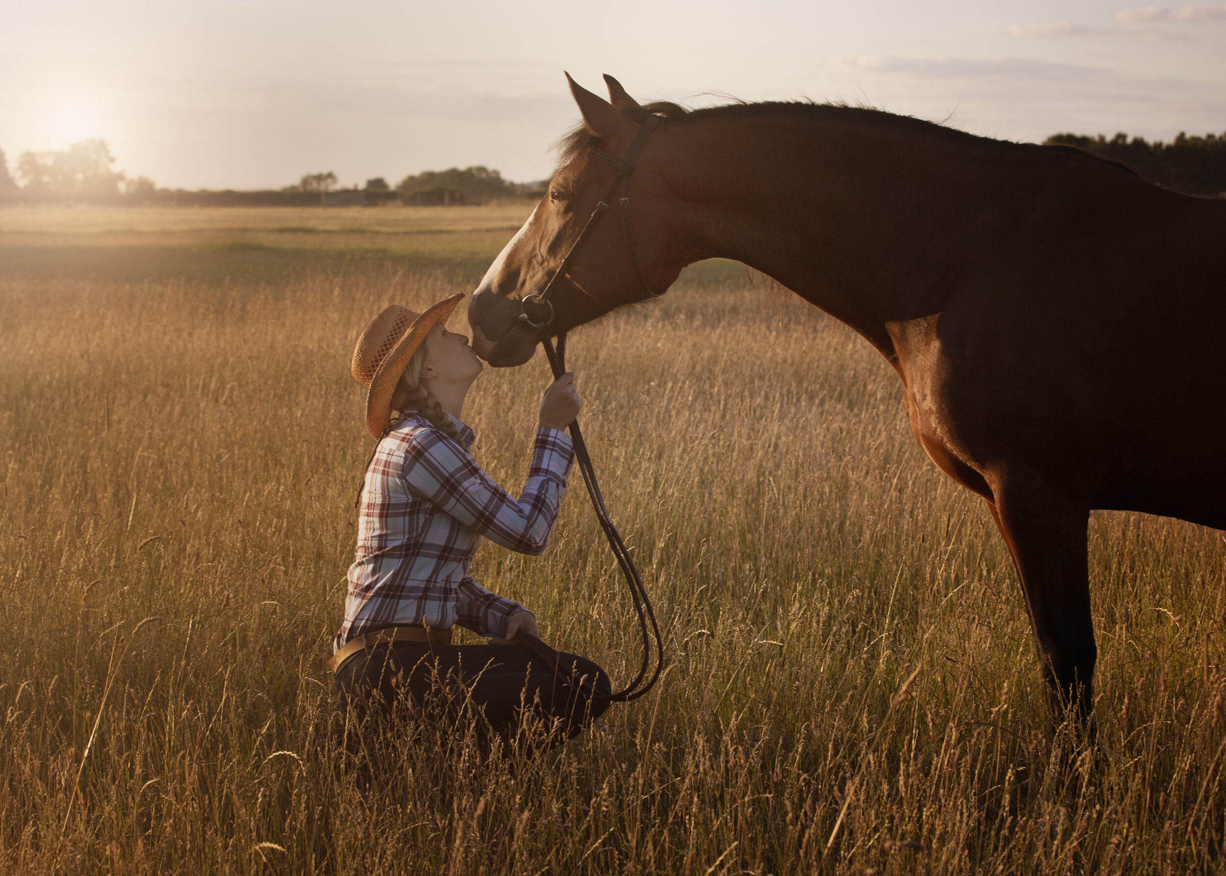 cowgirl_sunset_WelshD.jpg