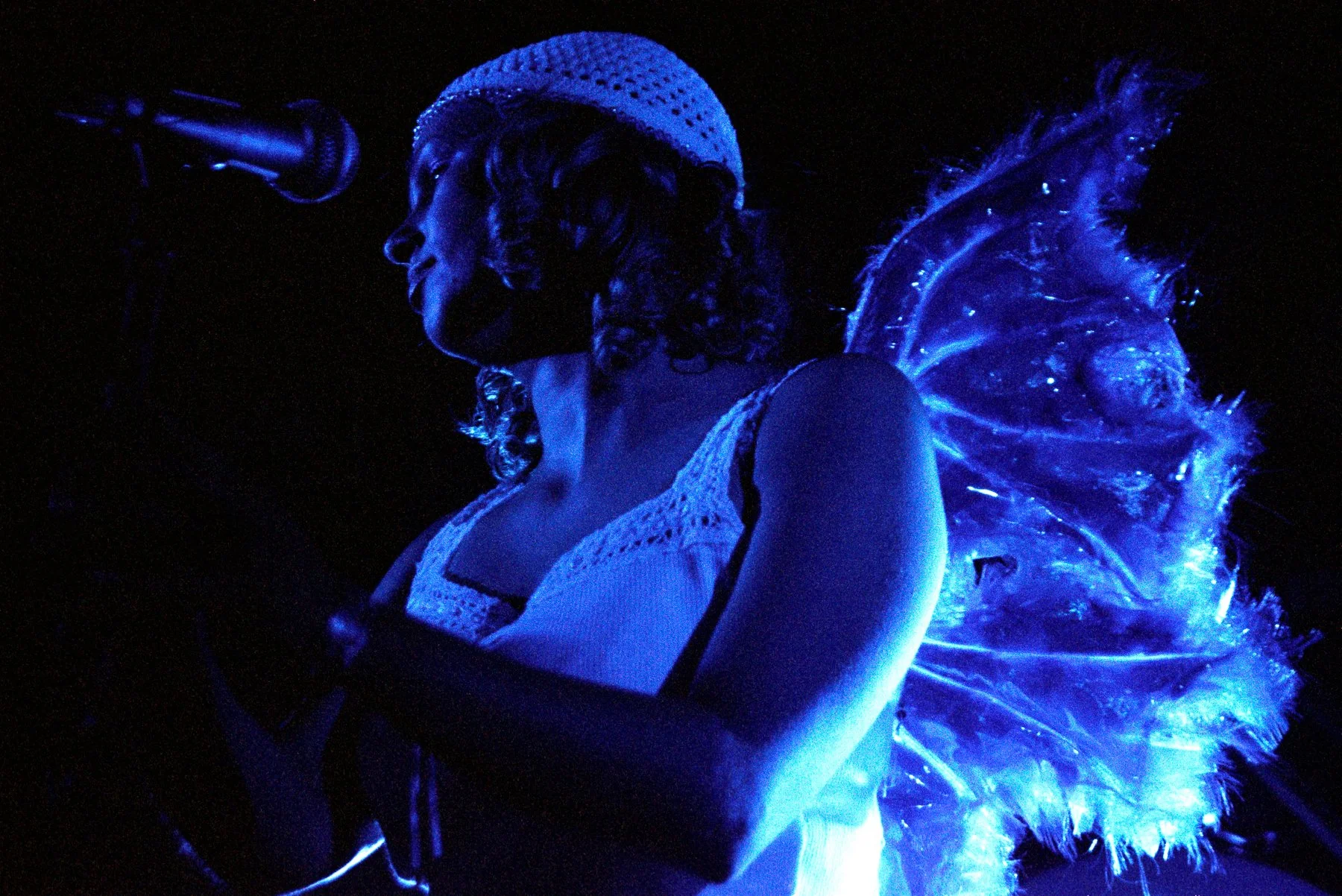 Goldfrapp (Copy)