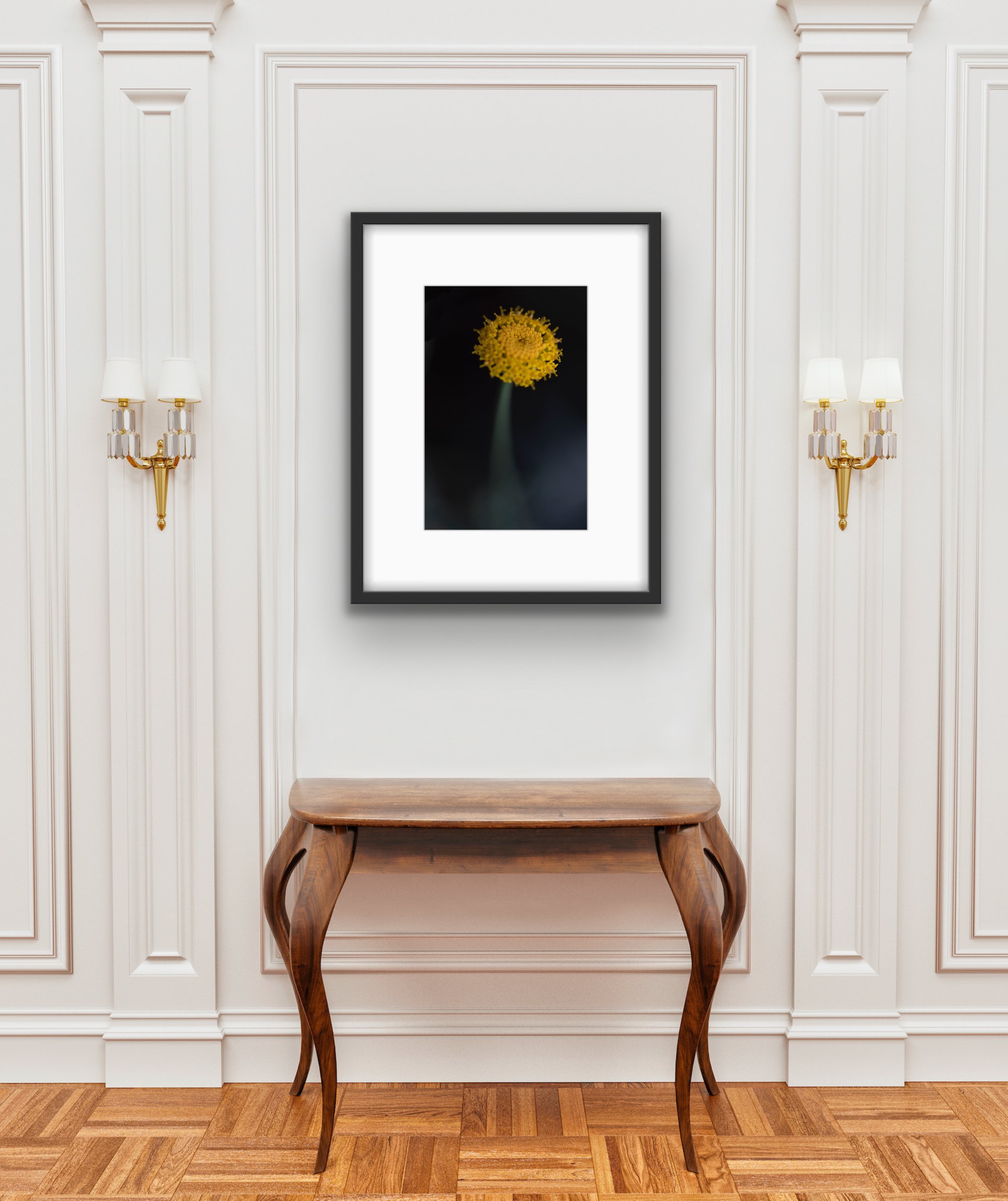 Golden wildflower glowing in soft afternoon sunlight, gently leaning in a field of tall grass. Fine art botanical photograph from The Quiet Wild series.