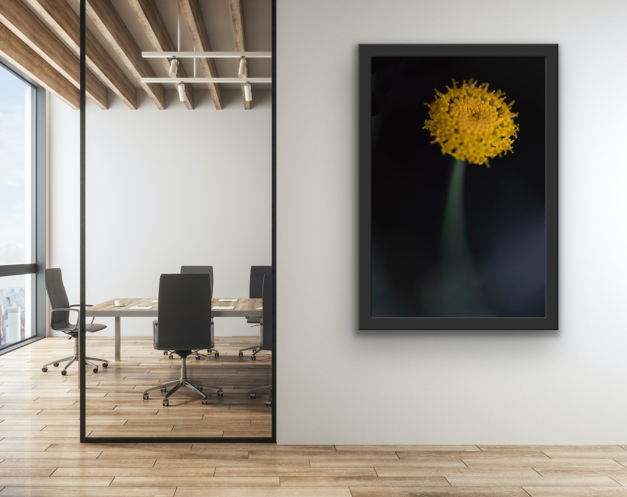 Golden wildflower glowing in soft afternoon sunlight, gently leaning in a field of tall grass. Fine art botanical photograph from The Quiet Wild series.