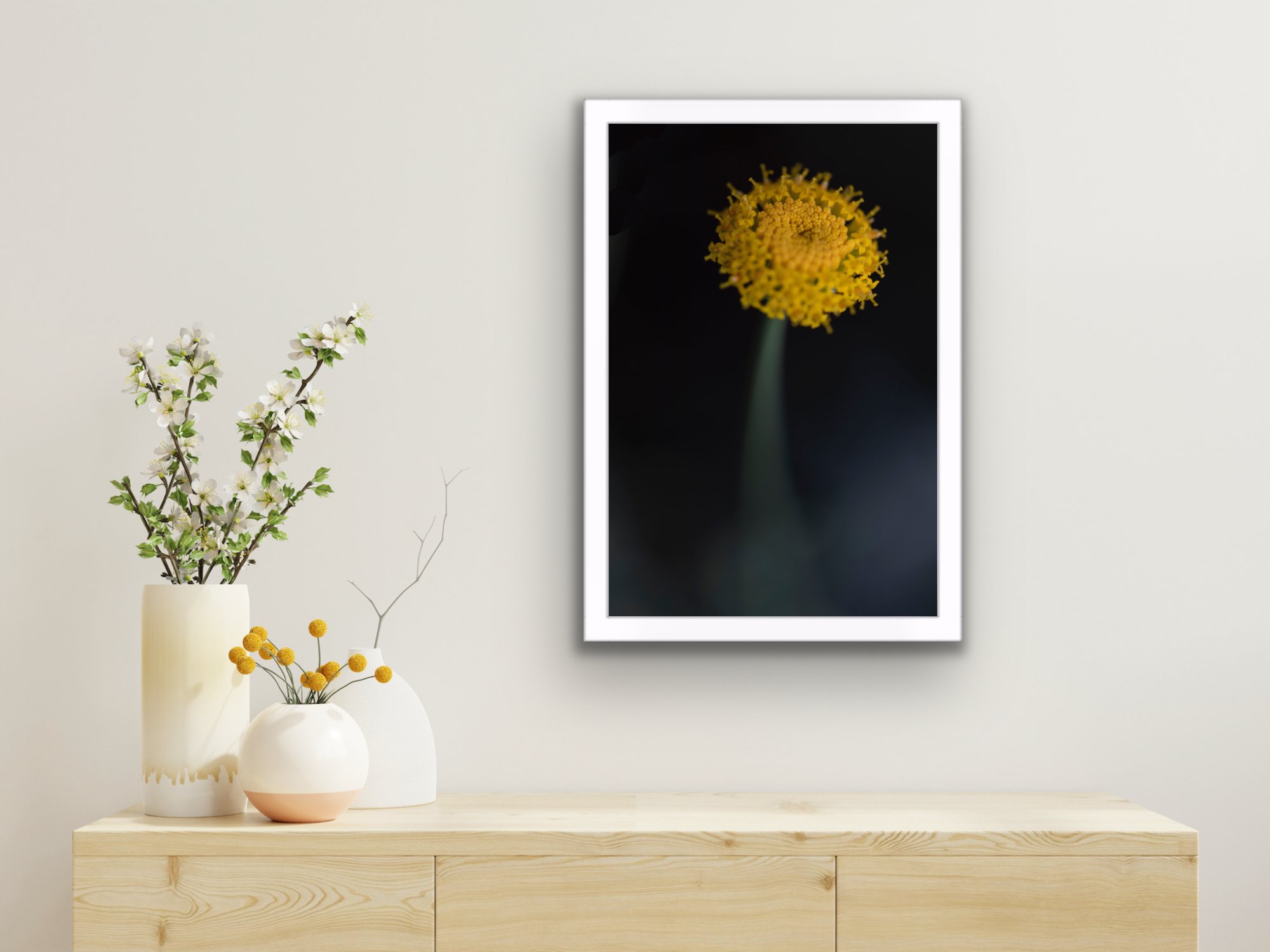 Golden wildflower glowing in soft afternoon sunlight, gently leaning in a field of tall grass. Fine art botanical photograph from The Quiet Wild series.