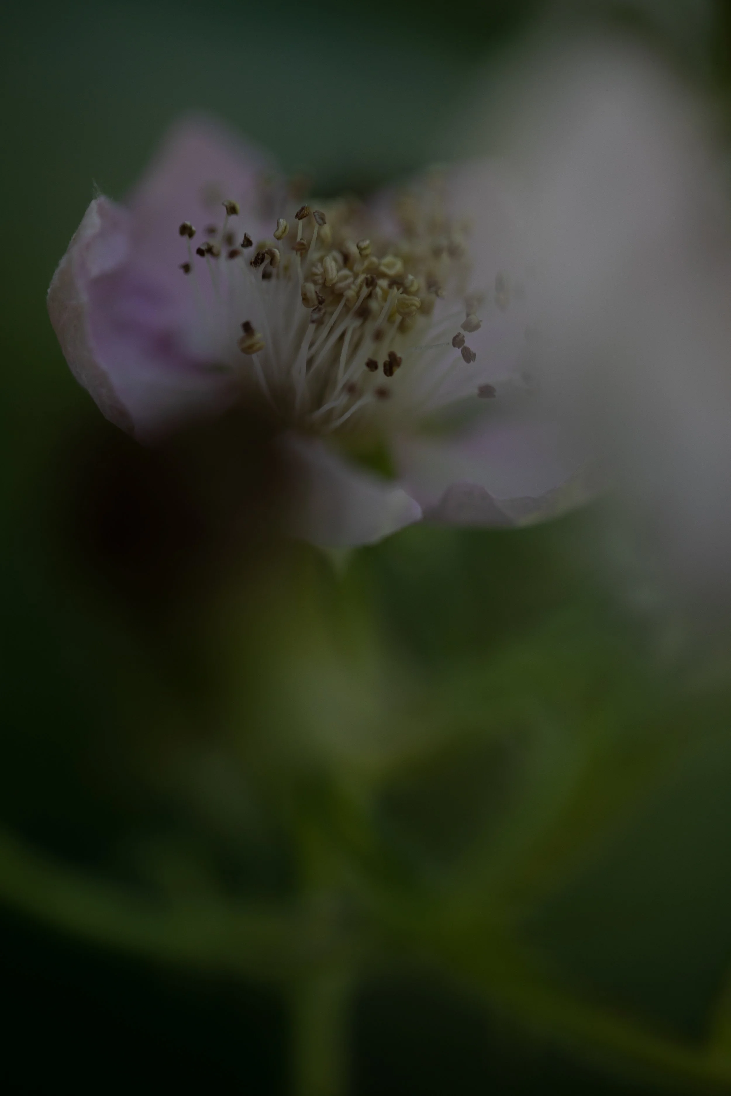 119A8422.jpeg