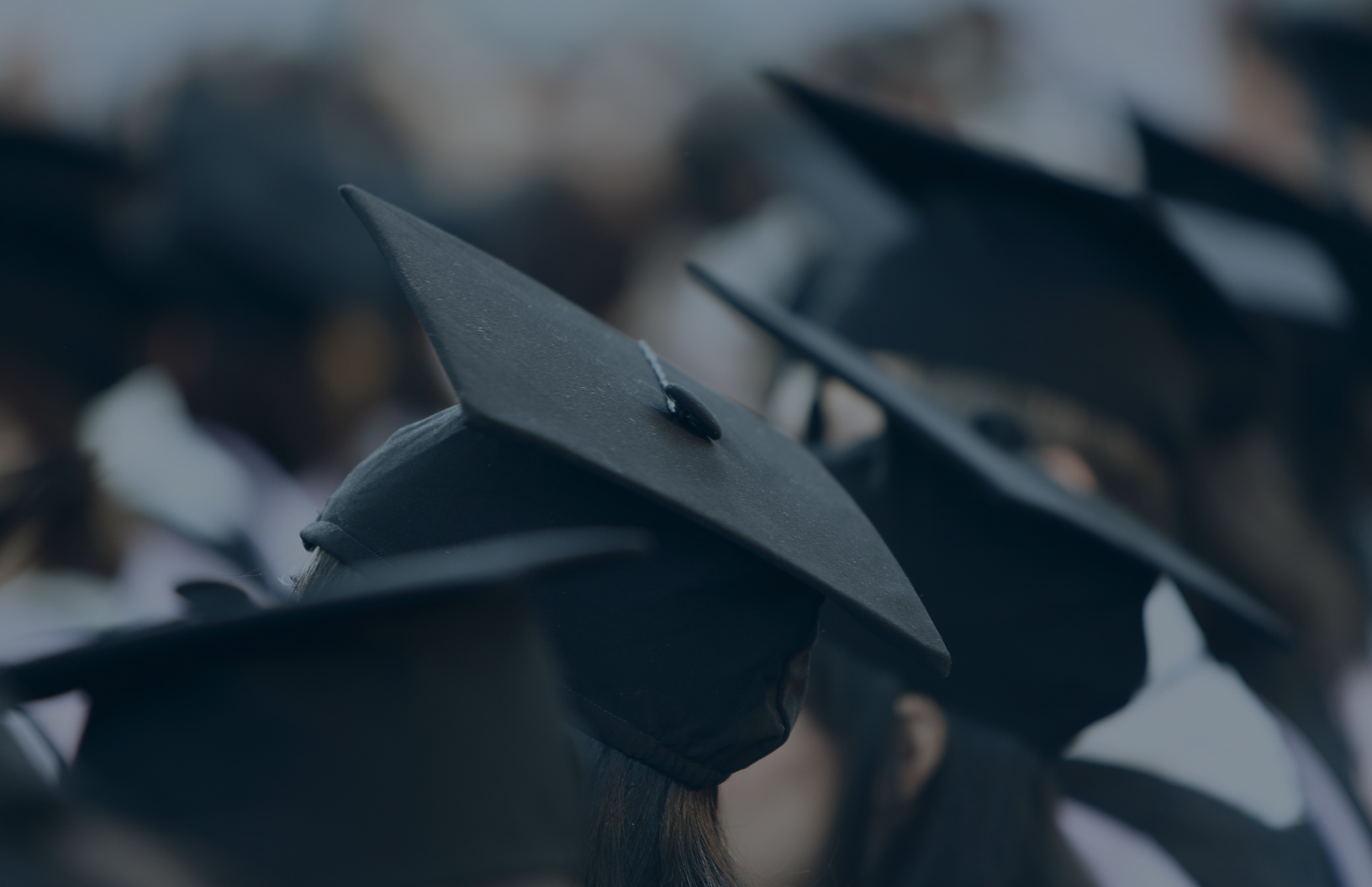 Graduate Background 2.png