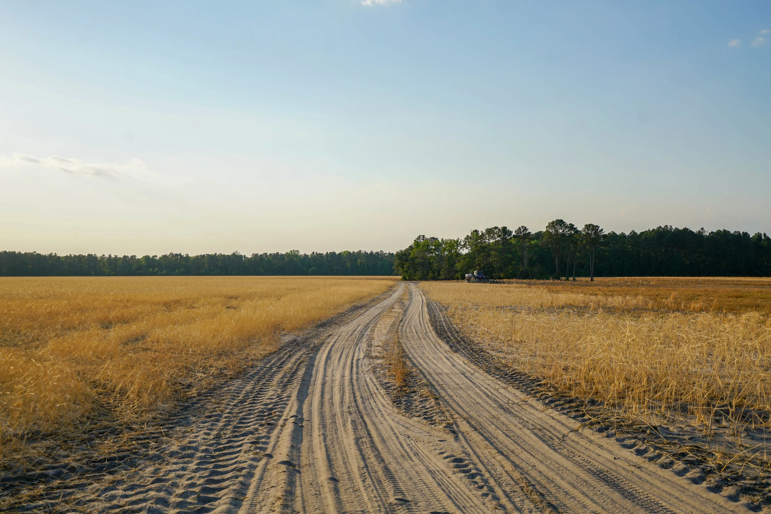 Screven_rdcd-195.jpg