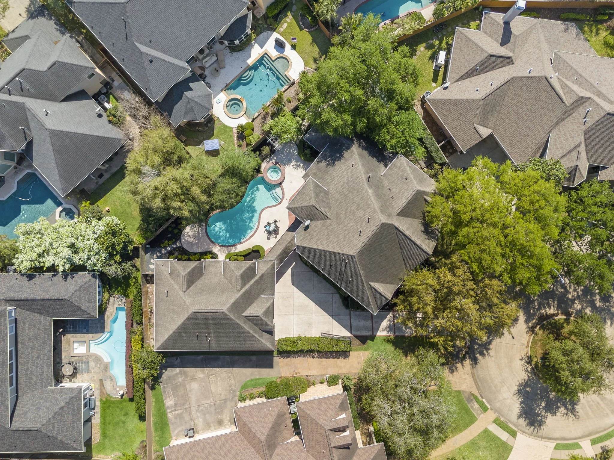 Where Dreams Take Root: What's Your Perfect Neighborhood Vibe?