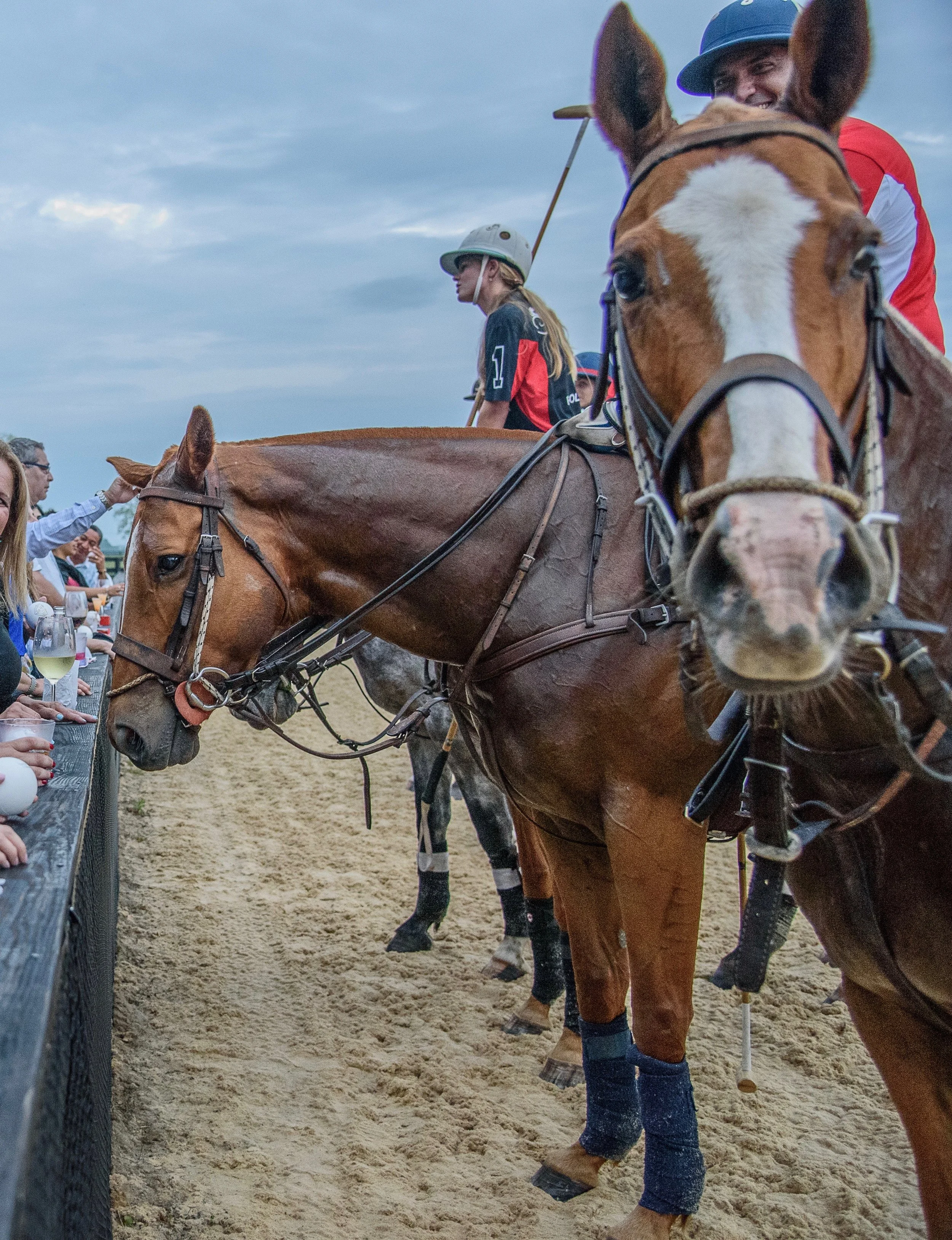 Polo at Salamander-292 copy (1).jpg