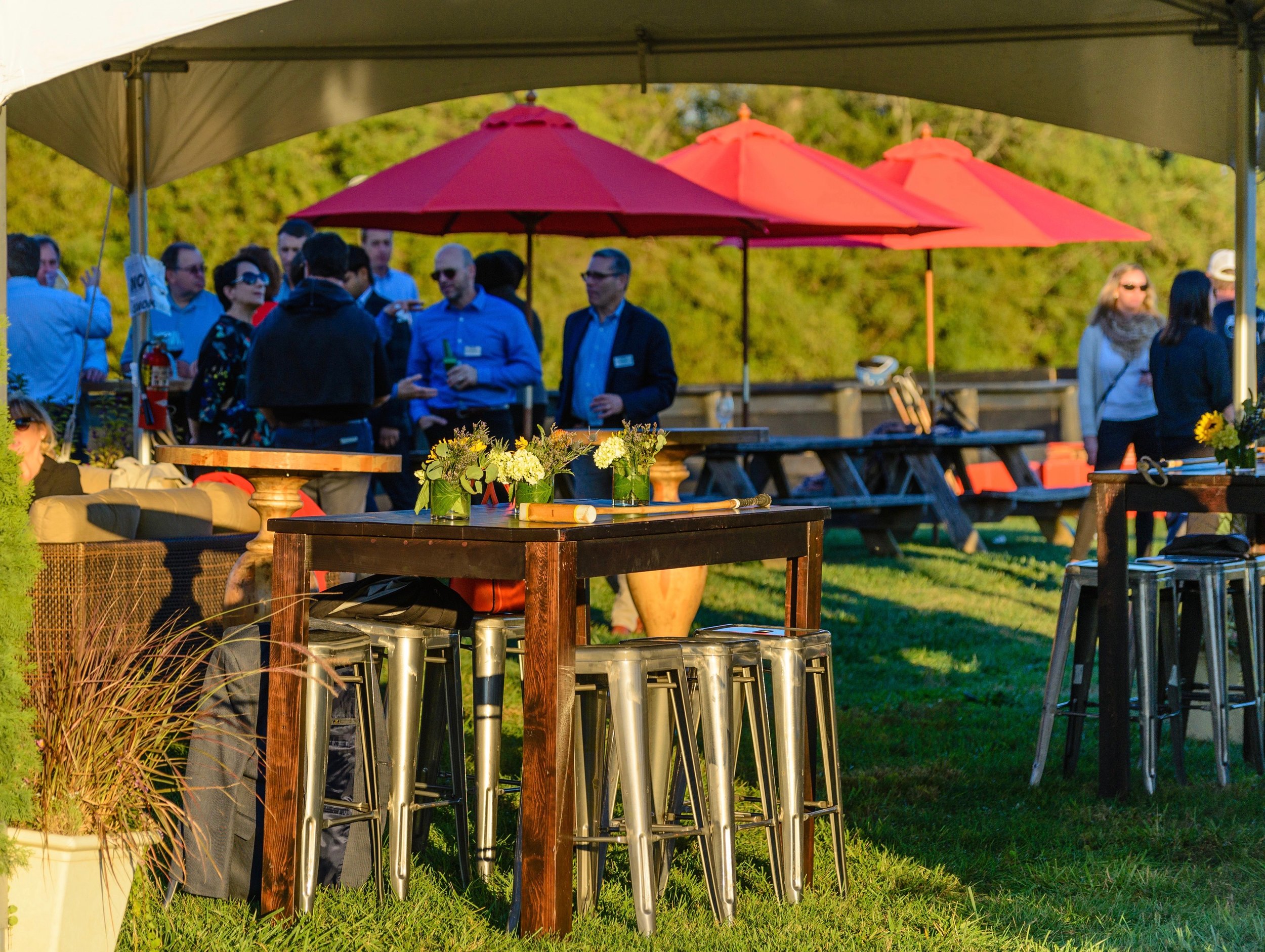 polo samsung-457.jpg