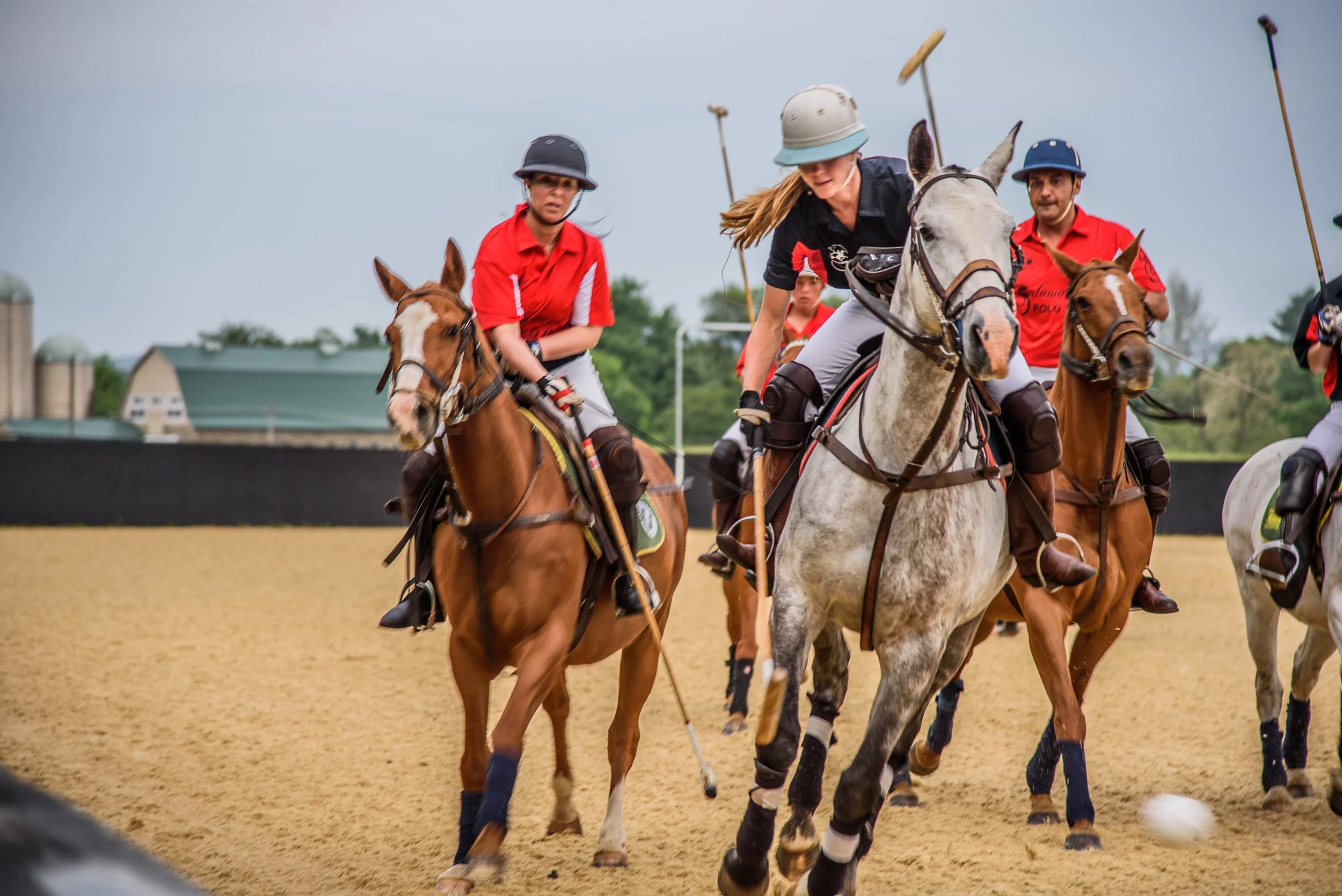 Polo at Salamander-131 copy 2.jpg