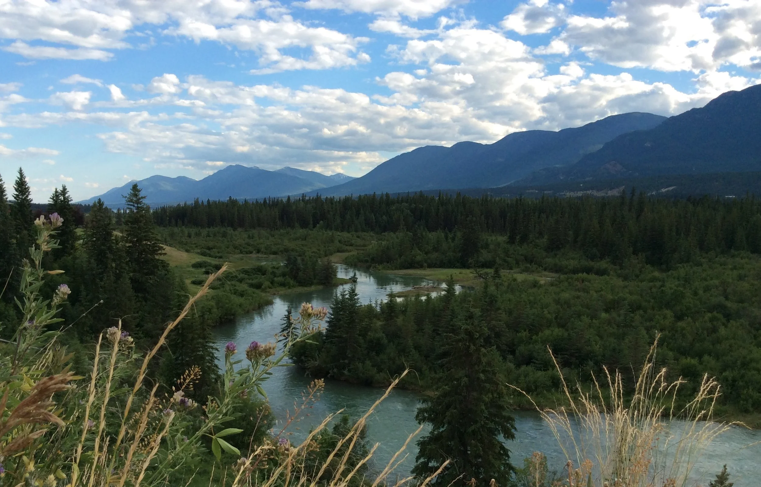 Easy Self Care Moments