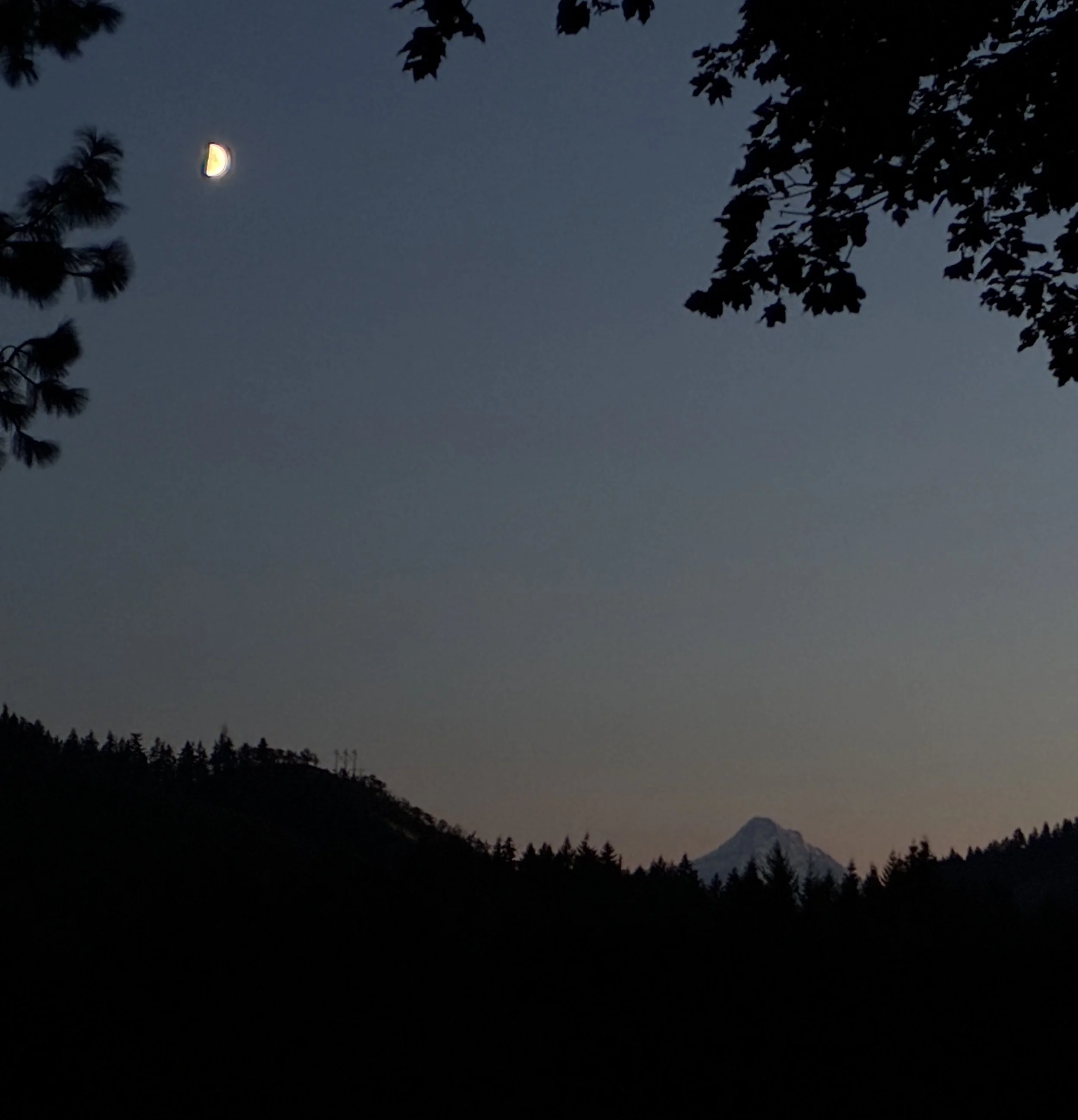 Crescent moon glowing above a mountain silhouette at dusk, framed by dark tree branches.