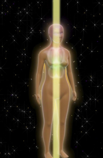 2 solar plexus toroid.png