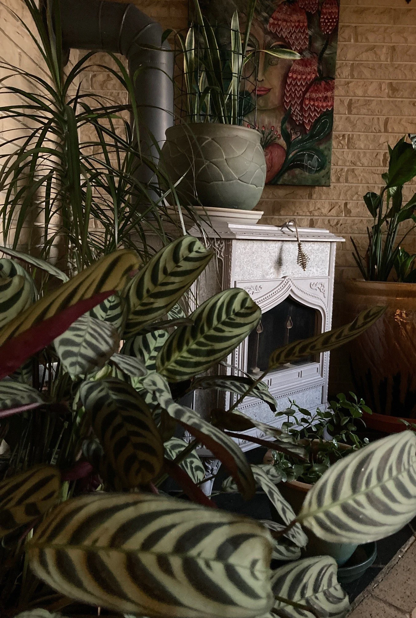 Wood stove surrounded by houseplants, waiting to be lit for the season.