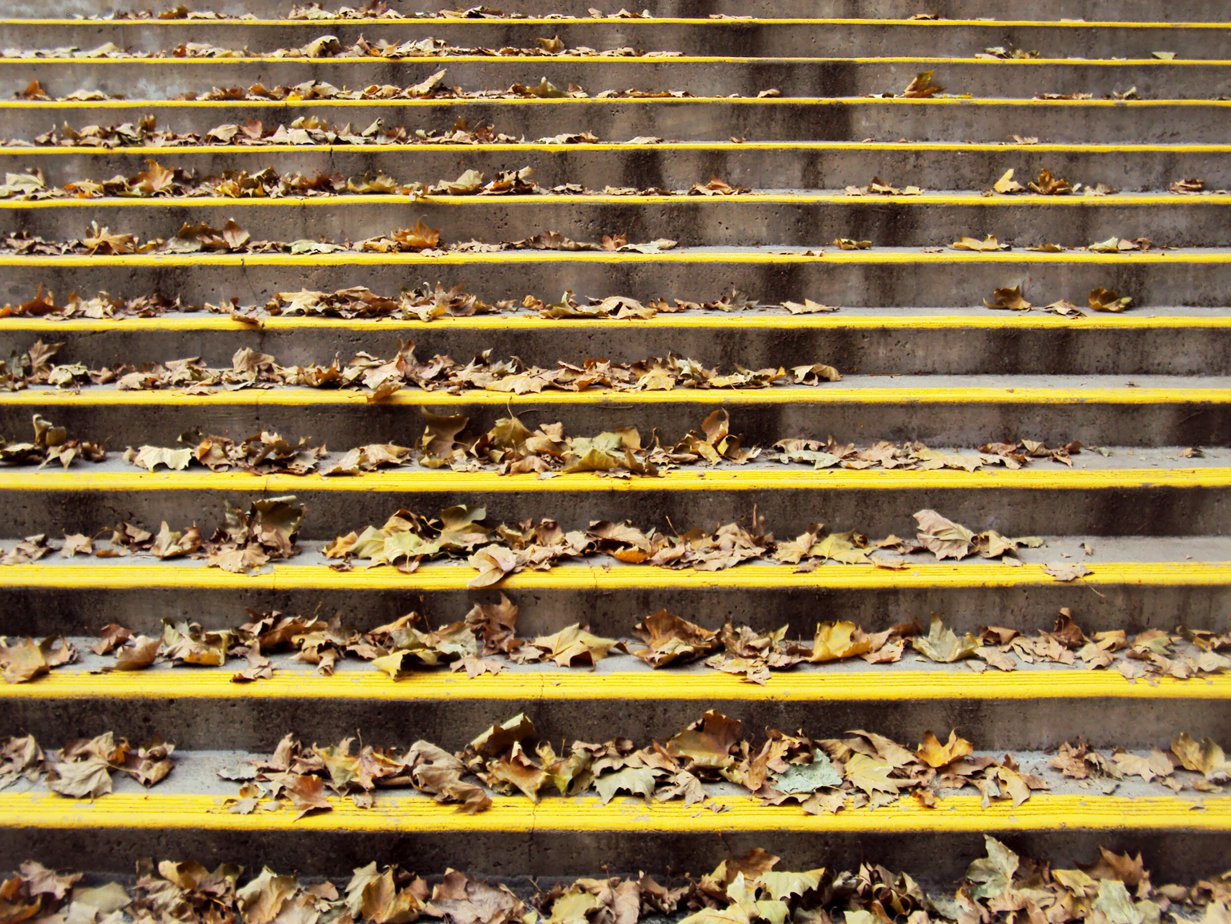 STEP BY STEP - $145.JPG