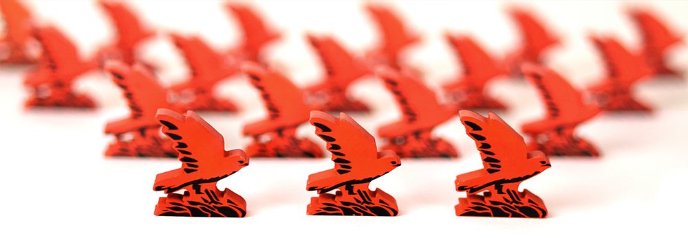 Firehawks1.jpg