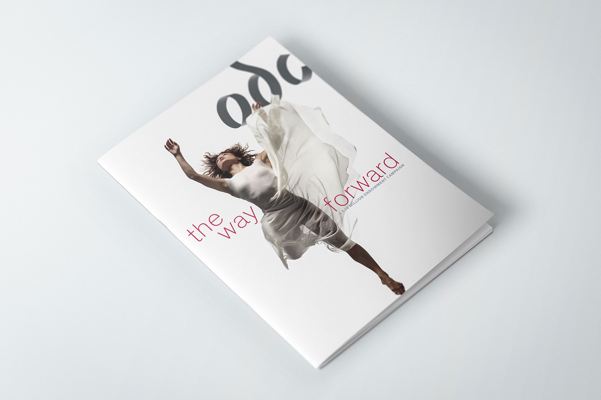 odc_capital_campaign_cover.jpg
