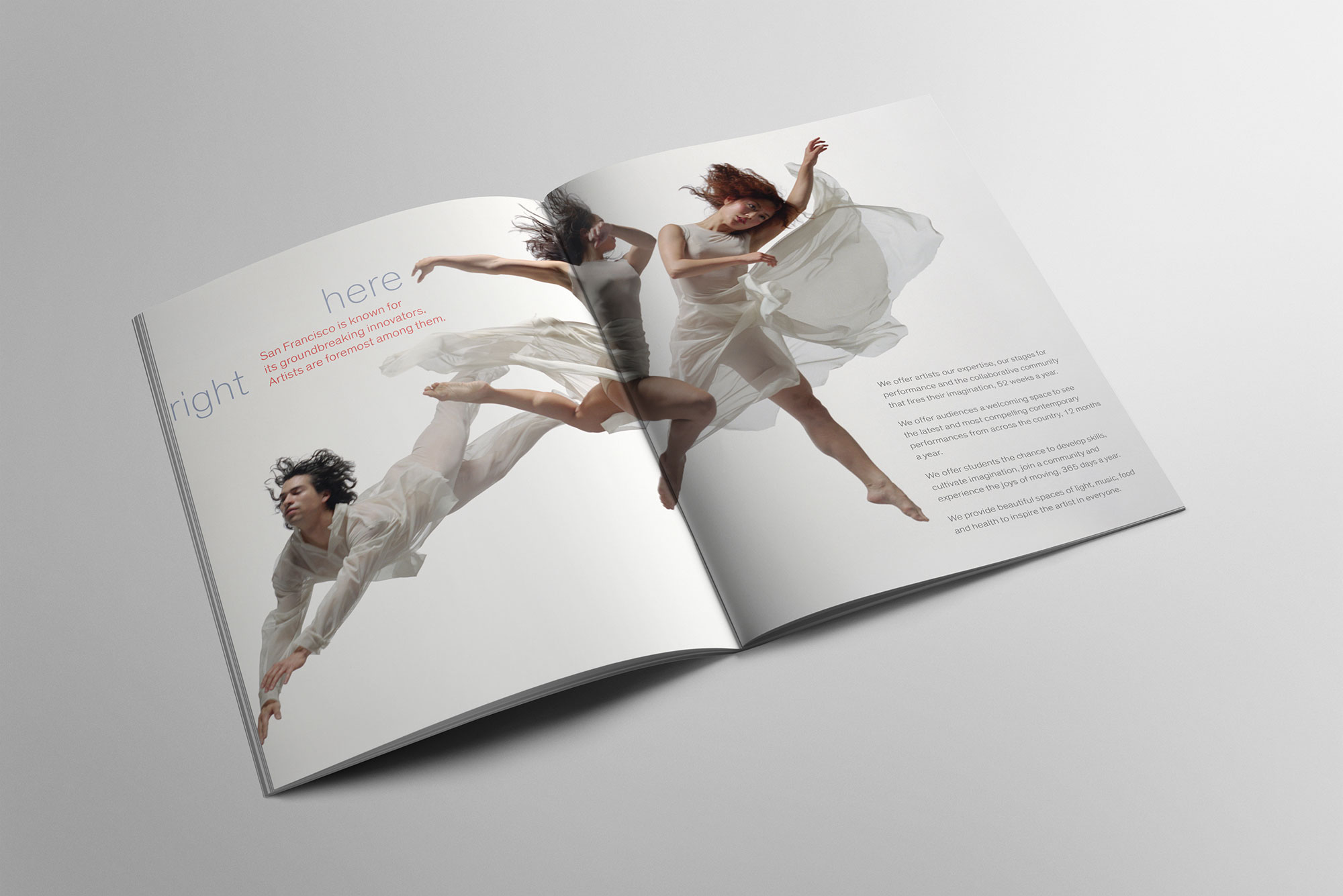 odc_capital_campaign_2.jpg