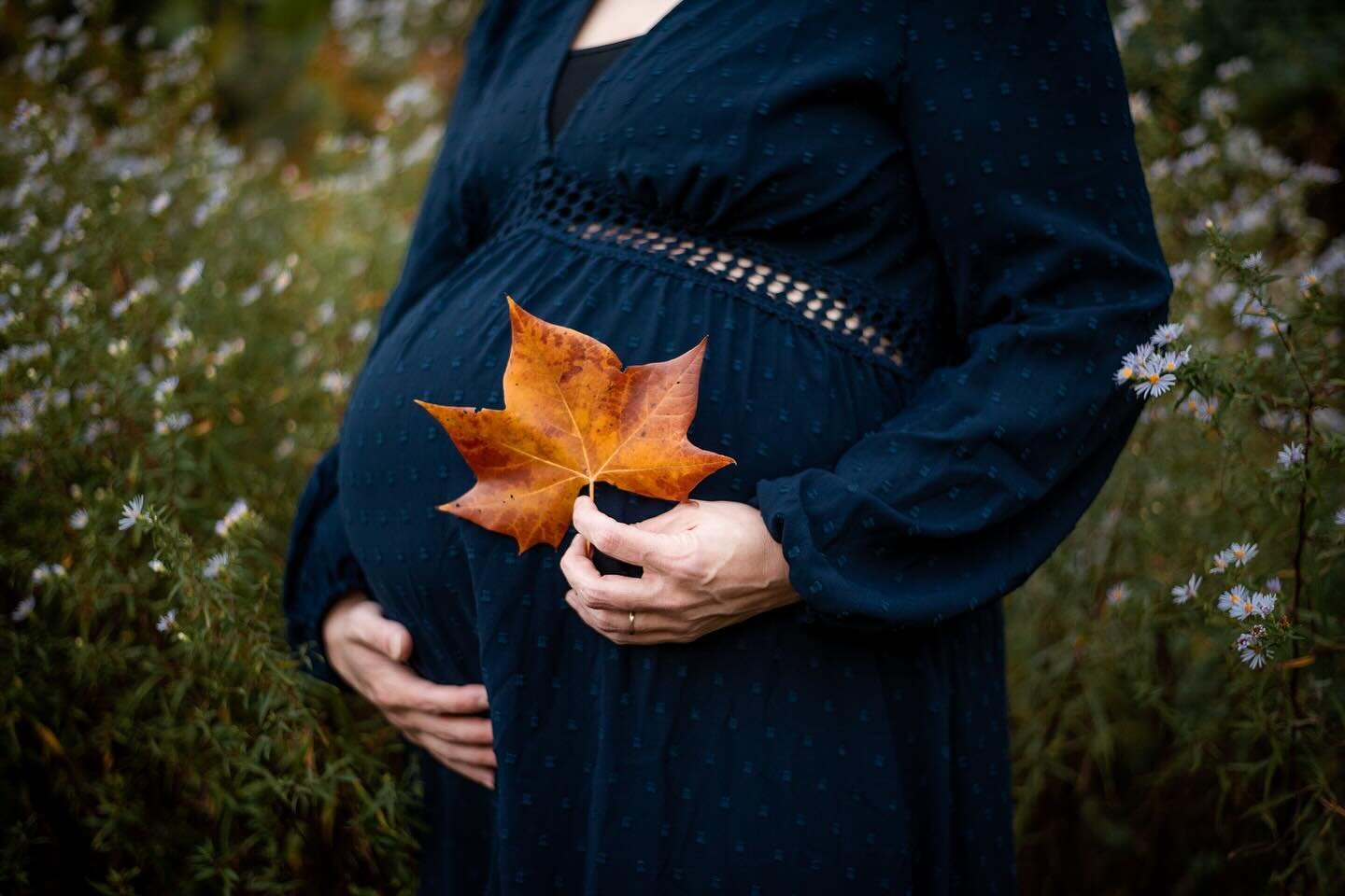 I love including a little sign of the season in which a baby is expected to make their arrival. The end of pregnancy feels like such a strange mix of excruciatingly long and shockingly short that I feel it&rsquo;s important to take a little time stam