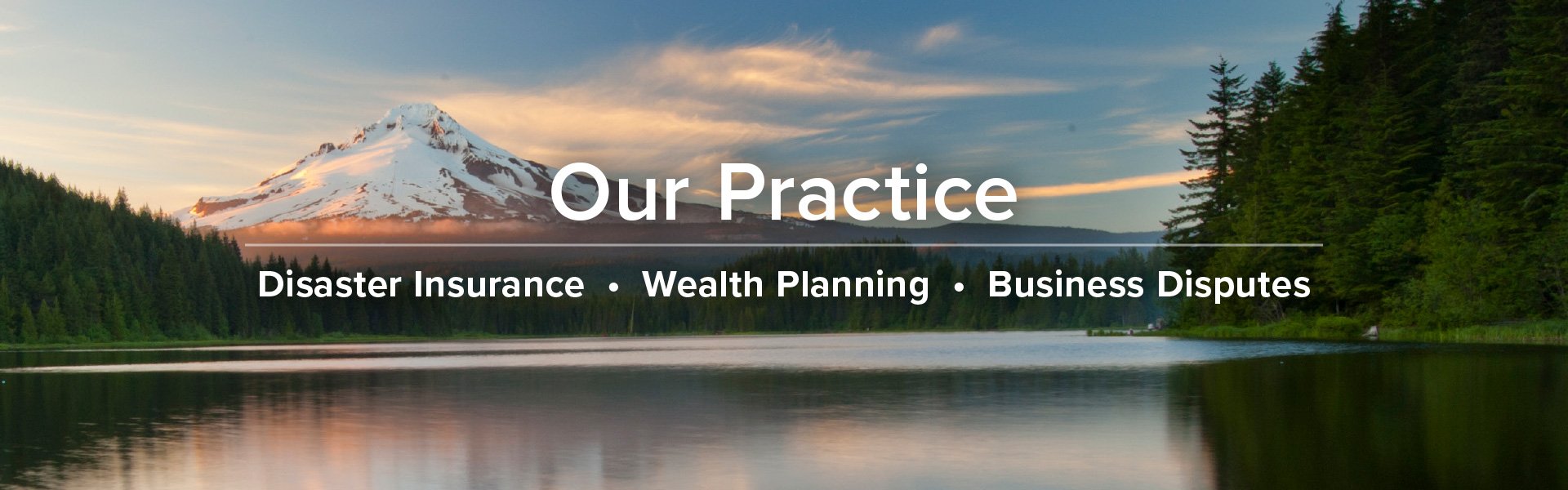 Our Practice: Disaster Insurance, Wealth Planning, Business Disputes