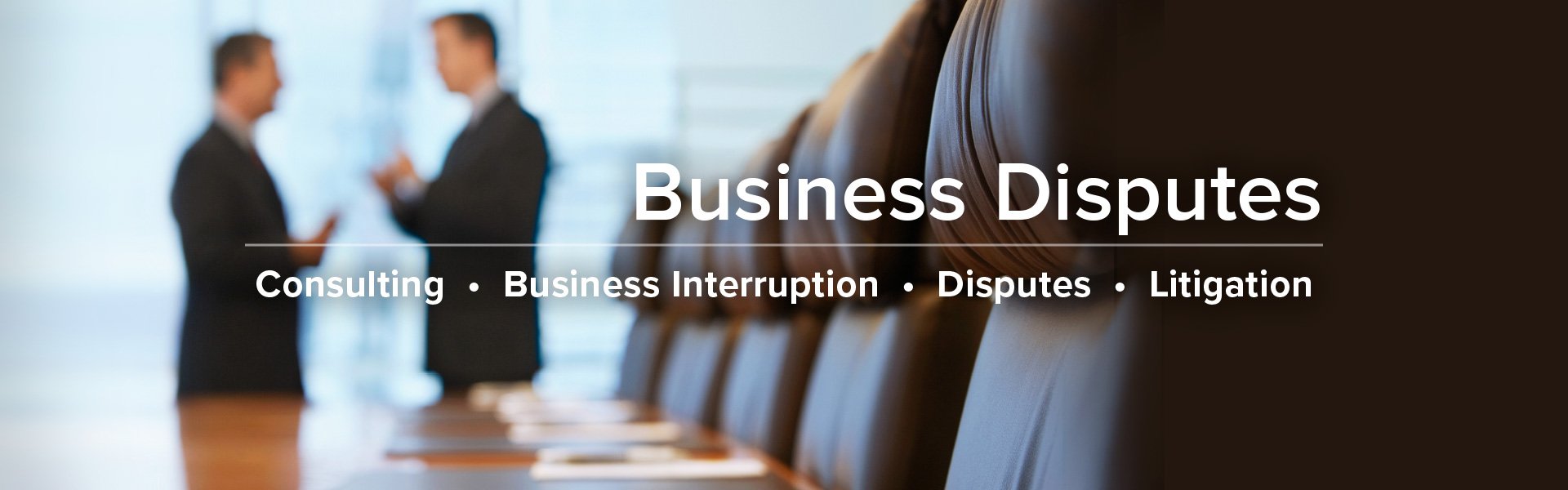 Business Disputes: Consulting, Business Interruption, Disputes, Litigations