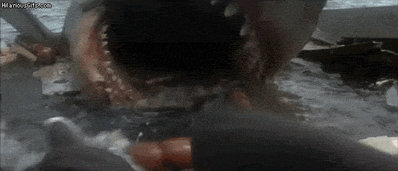 googly-eyes-jaws-shark-9r4jxal.gif