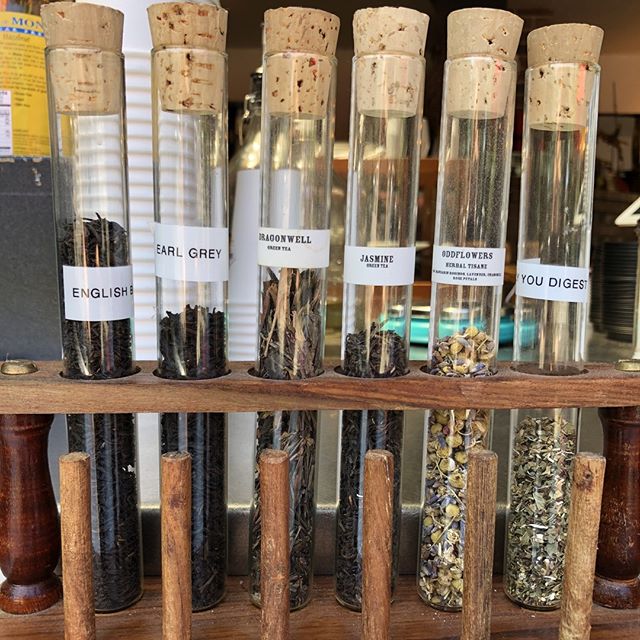 In the mood for something new? Try one of our delicious loose-leaf teas, hot or iced. #ohsobotanical #tealove #shackcoffeehouse #shackteahouse?