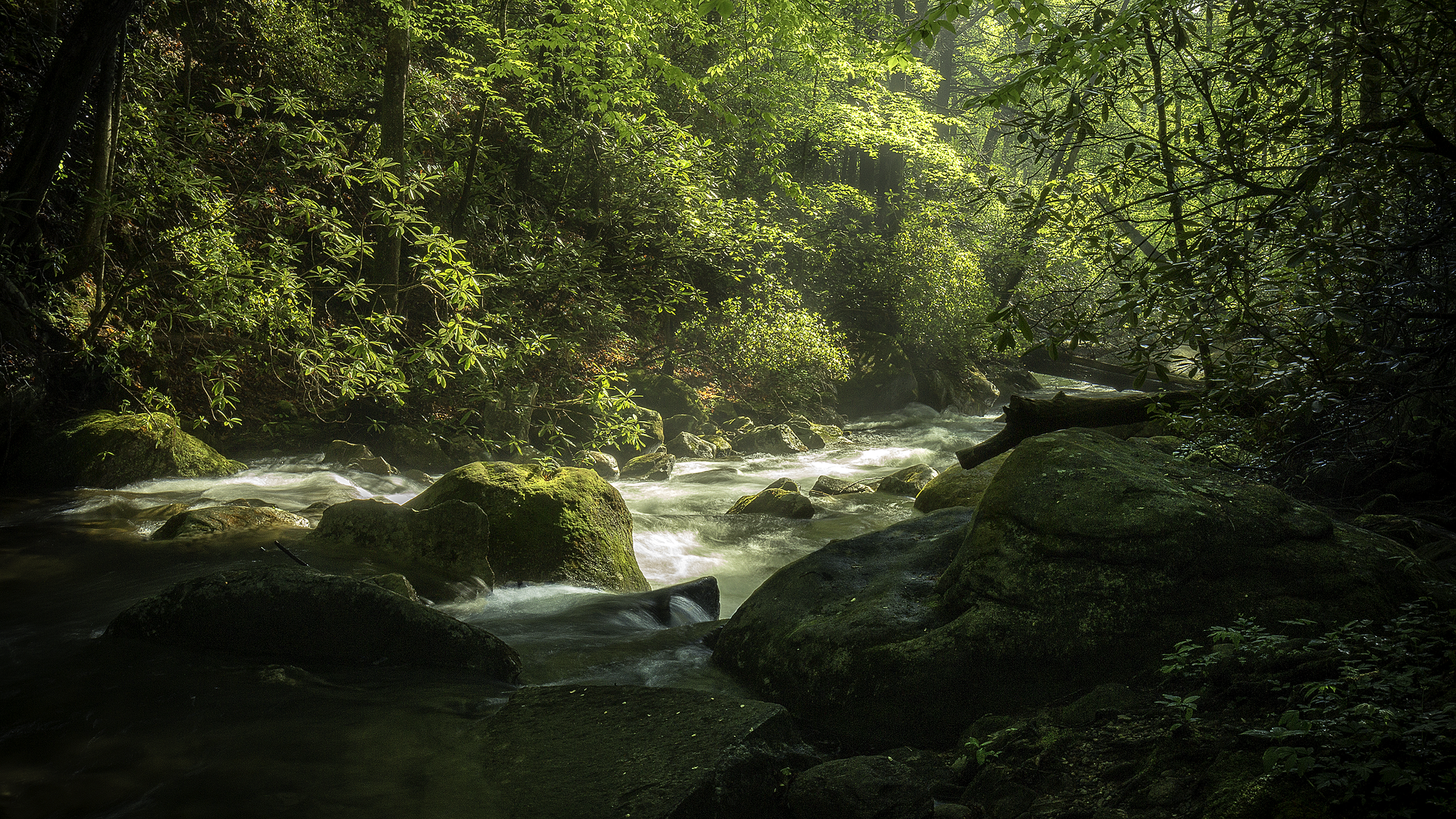 Saluda River Morning Jones Gap State Park, SC 2017