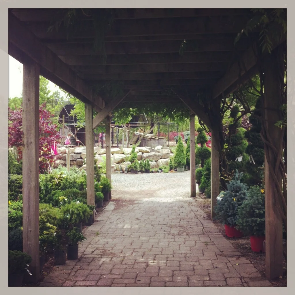 Pergola