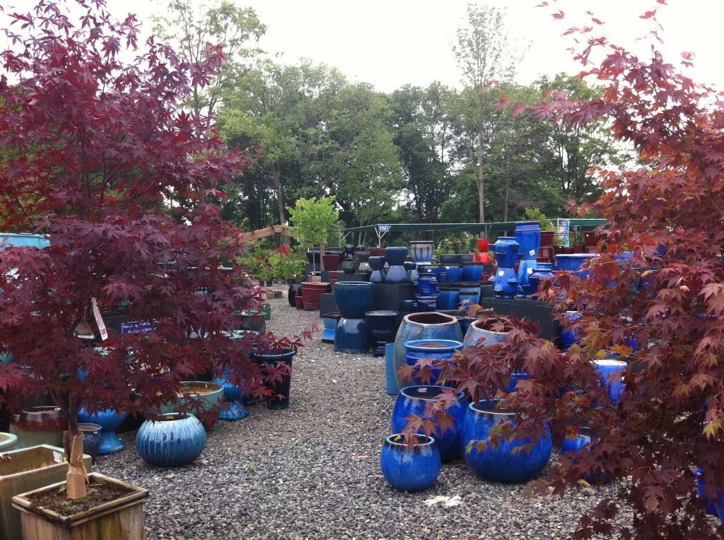 Pots