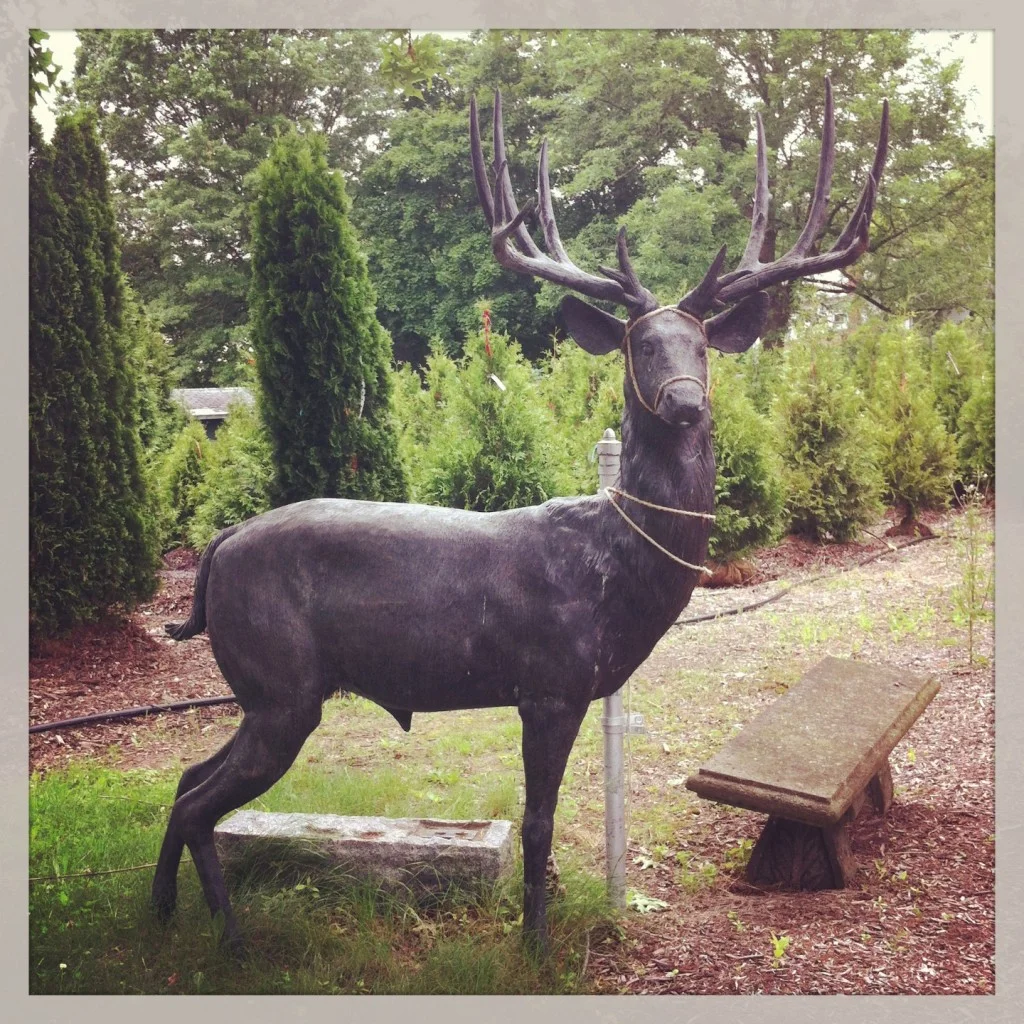 Anyone watch Hannibal?