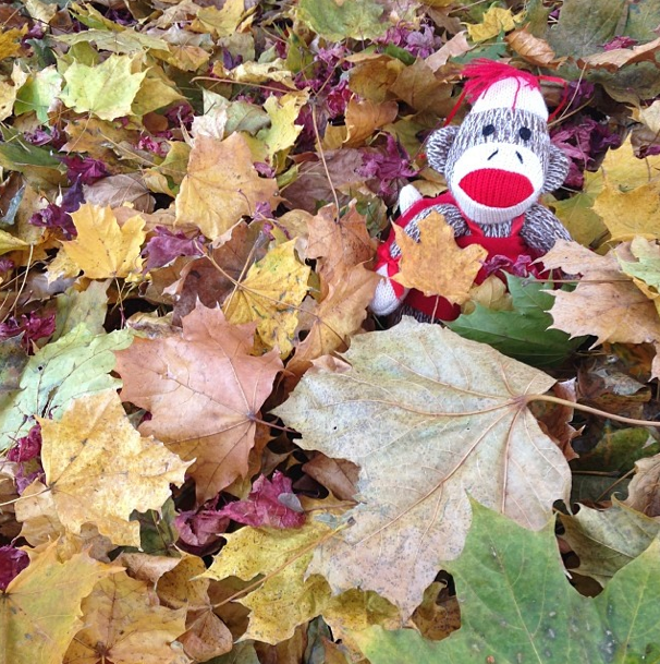 #SockMonkeyPhotobomb