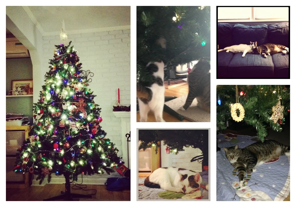 Kitty-Christmas.jpg