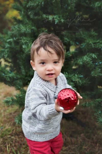 october-18-holiday-mini-sessions_5873fb1-413x620
