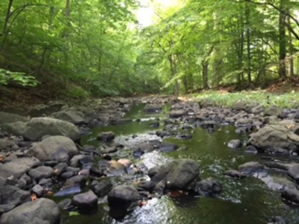 Stream-600x450.jpg
