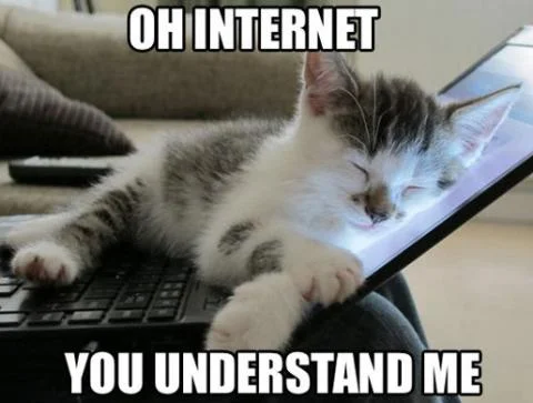 I-love-you-internet.jpg