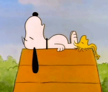 snoopy-sleeping.png