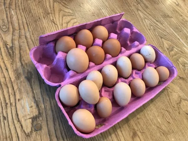 all-the-eggs-600x450.jpeg