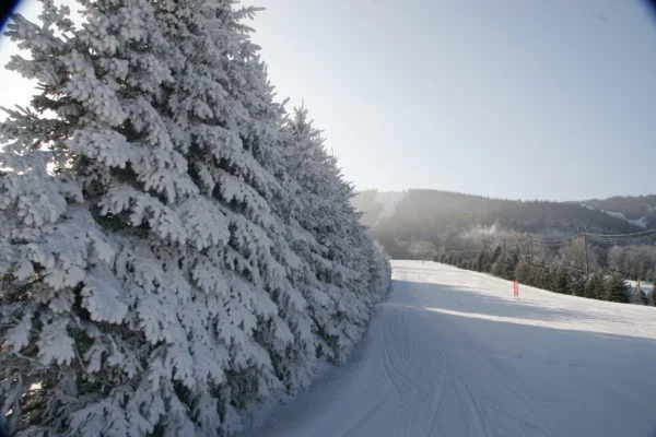 BlueMountainWinter-600x400.jpg