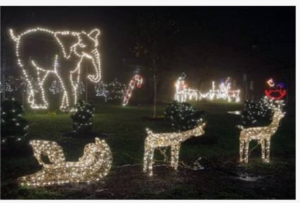 holiday-lights_0-300x203.png