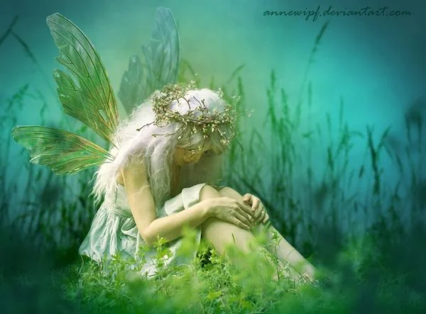 39dd7a5dc997a47d8c7c5975492f98c6-sad-fairy-butterfly-kisses-600x443.jpg