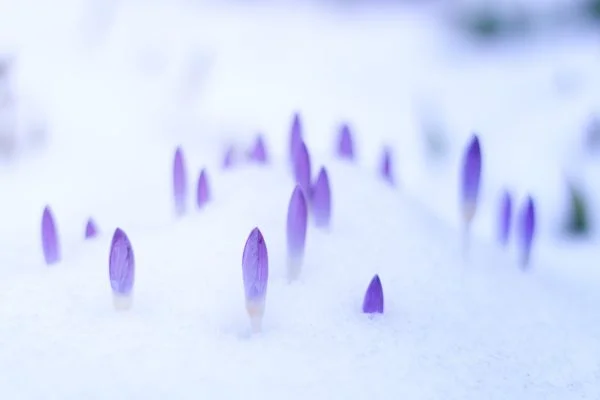 johannes-plenio-564230-unsplash-600x400.jpg