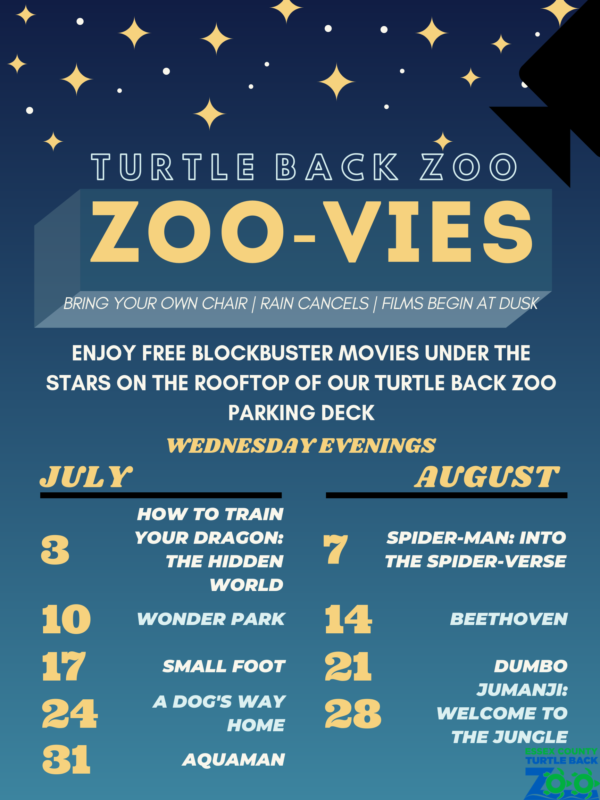 TURTLE-BACK-ZOO-1-600x800-2.png