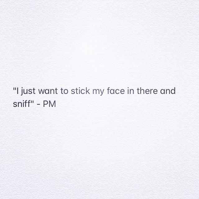 👃🏼#whatsthatsmell #dontask #adlife #projectmanager #adofcontext #huh