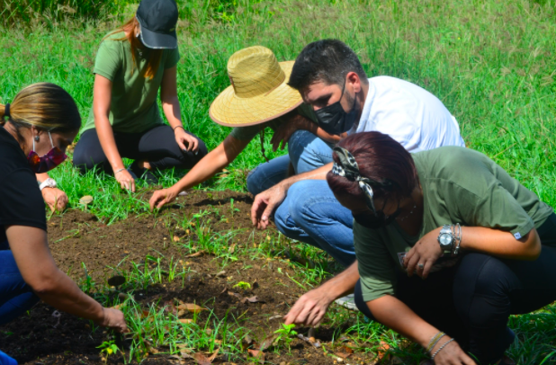 Primera escuela ecológica Montessori en Puerto Rico