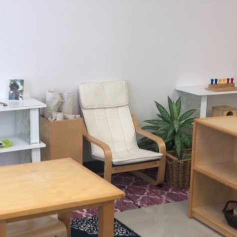 Las tendencias humanas en el ambiente montessoriano