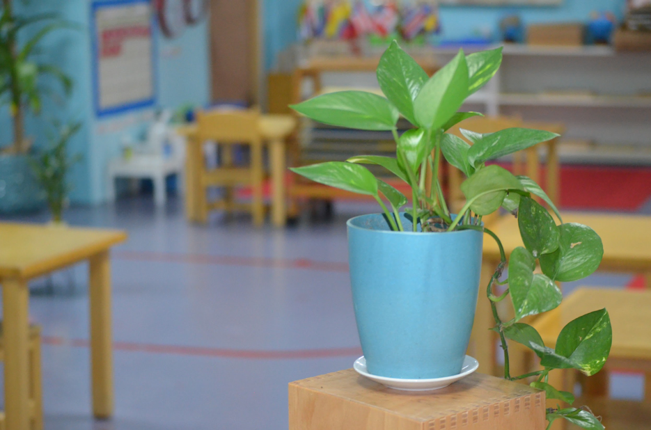 ¿Qué es un ambiente Montessori?